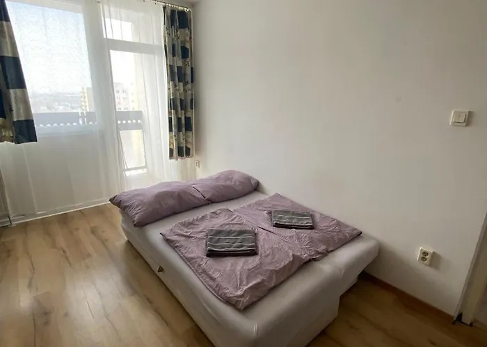 Nagyerdő Naplemente *