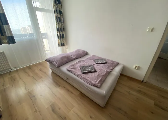 Nagyerdő Naplemente